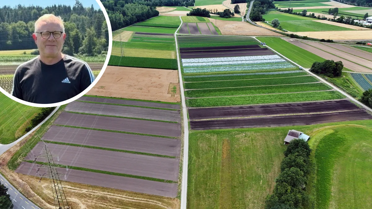noneDie aktuelle Trockenheit spürt auch Matthias Hurni, der Geschäftsführer von Gerber Bio Greens in Fehraltorf. Bildkombination zwischen Luftaufnahme eines Felds und einem Porträt.